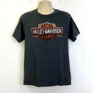 Harley Davidson - Eureka Springs Arkansas With Hog Gray Short Sleeve Shirt Med